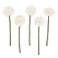 Felt Flower Gerbera white