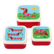 Rex London Snack Boxes Sausage Dog