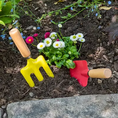 Rex London Gardening Tools Ladybird