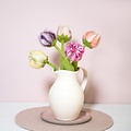 Sjaal met Verhaal Felt Flower Tulp Soft Colors assorti