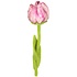 Sjaal met Verhaal Filzblume Tulp Soft Colors assorti