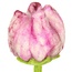Felt Flower Tulp Soft Colors assorti