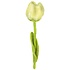 Sjaal met Verhaal Felt Flower Tulp Soft Colors assorti