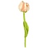 Sjaal met Verhaal Felt Flower Tulp Soft Colors assorti