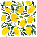 Paperproducts Design Paper Napkins Tracey's Citronella