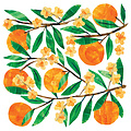 Paperproducts Design Paper Napkins Tracey's Orangina