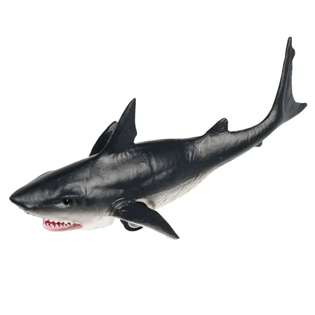 Pull Back Toy Shark