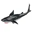 Pull Back Toy Shark