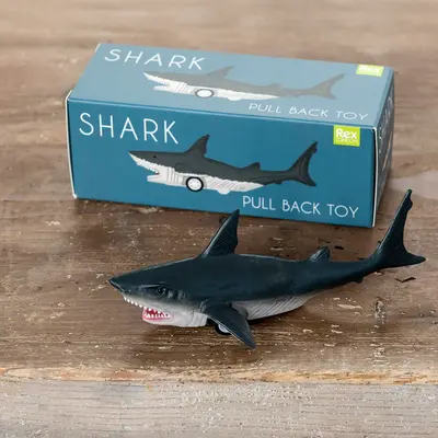 Rex London Pull Back Toy Shark