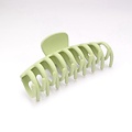 Red Cuckoo Hair Claw Clip Matte Oval green