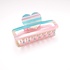 Red Cuckoo Hair Claw Clip Rectangular Heart Striped blue