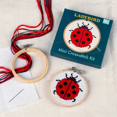 Rex London Cross-Stitch Kit Mini Ladybird