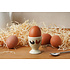 CGB Giftware Egg Holder Chicken Farm