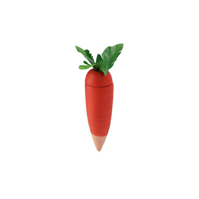 CGB Giftware Pflanzenwasserspender Carrot