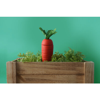 CGB Giftware Pflanzenwasserspender Carrot