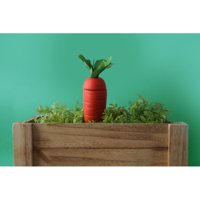 Plant Feeder Carrot