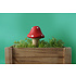 CGB Giftware Plant Feeder Toadstool