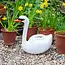 Watering Can 2 ltr Swan