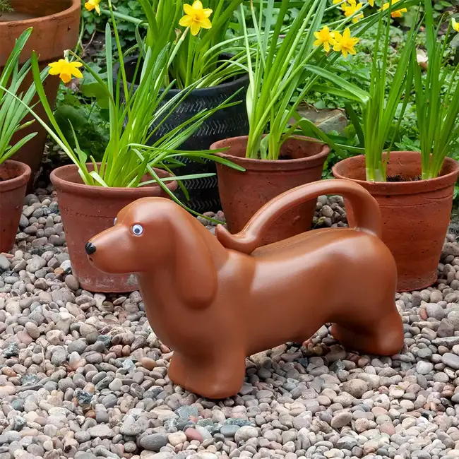 Watering Can 2 ltr Sausage Dog