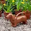 Giesskanne 2 Liter Sausage Dog