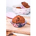 Isabelle Rose Cupcake Cases Bella blue