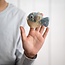 Finger Dolls Sealife Set of 6 assorti