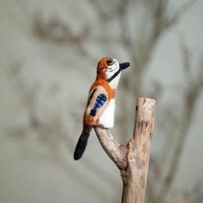 Sjaal met Verhaal Finger Dolls Vlaamse Gaai