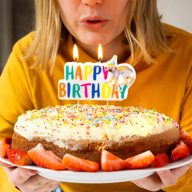 Birthday Candles Safari Happy Birthday
