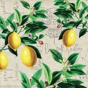 Paperproducts Design Paper Napkins Capri