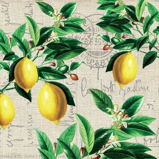 Paperproducts Design Paper Napkins Capri