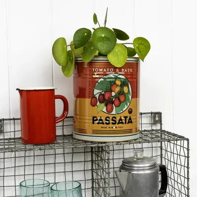 Rex London Storage Tins Passata Large Set of 2
