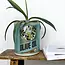 Aufbewahrungsdosen Olive Oil Large Set of 2