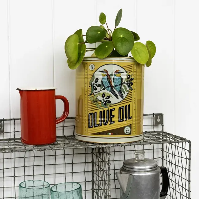 Storage Tins Olive Oil Large Set of 2