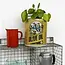 Storage Tins Olive Oil Large Set of 2