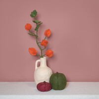 Sjaal met Verhaal Filzblume Tak Physalis Lampion