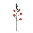Felt Flower Tak Physalis Lampion