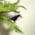 Sjaal met Verhaal Felt Hanger Toekan