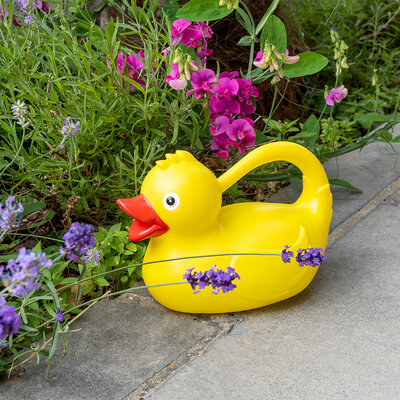 Rex London Giesskanne 1,8 Liter Yellow Duck