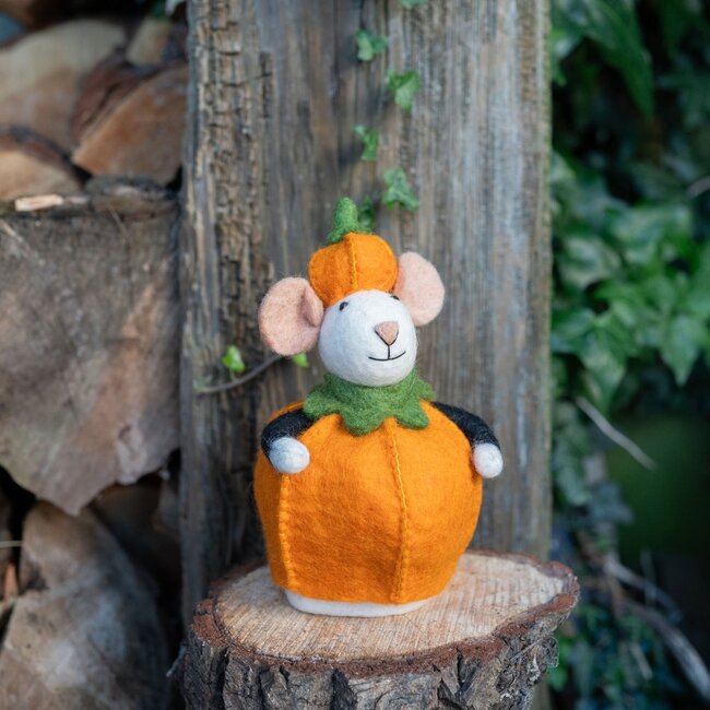 Felt Decoration Muis Pompoen