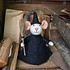 Sjaal met Verhaal Felt Decoration Muis Heks