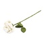 Filzblume Roos wit