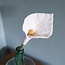 Felt Flower Calla wit