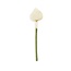 Felt Flower Calla wit