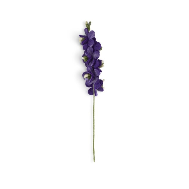 Filzblume Ridderspoor paars