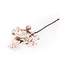 Felt Flower Tak Magnolia