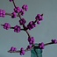Filzblume Tak Callicarpa paars