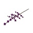 Filzblume Tak Callicarpa paars