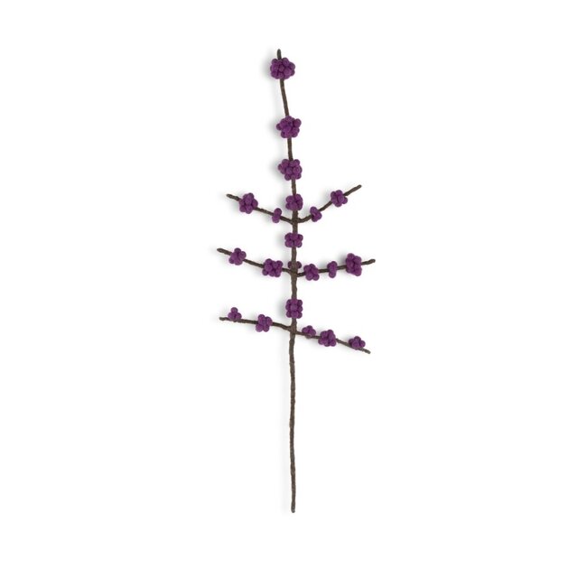 Filzblume Tak Callicarpa paars