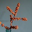Filzblume Tak Ilex oranje