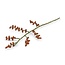 Felt Flower Tak Rozenbottel